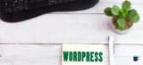 Caching Plugins and CDN Integration for WordPress