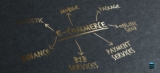 Recovery Plans for Transactional Data in E-commerce Hosting
